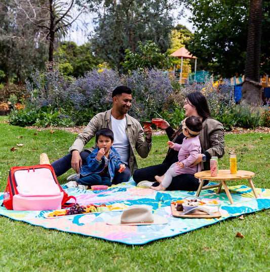 Rudie Nudie - Flamingo-A-Go-Go Picnic Rug