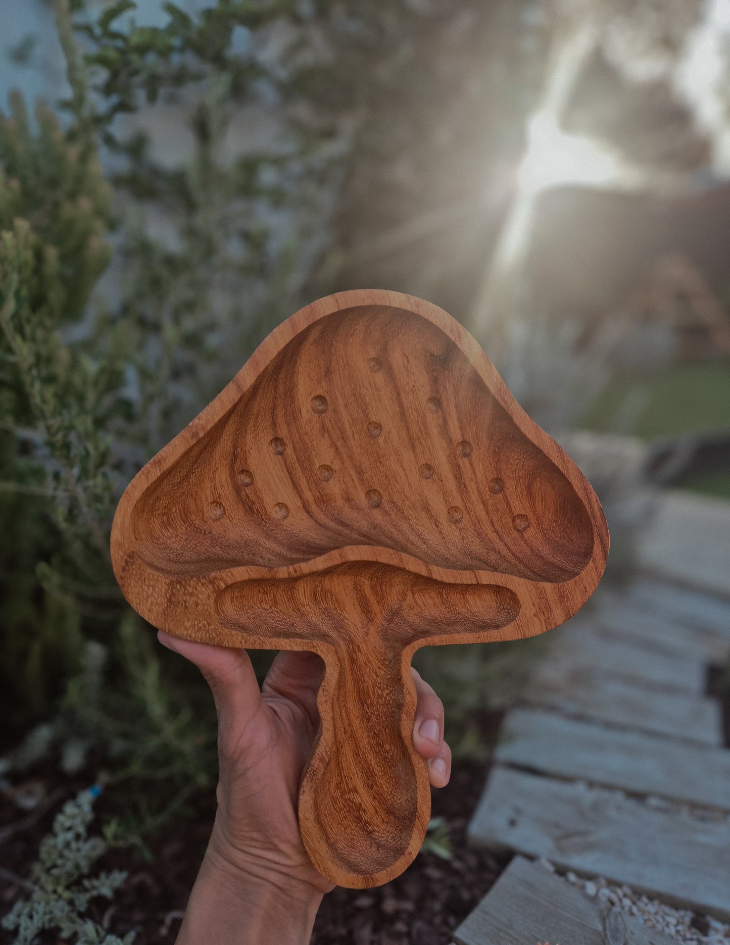 Meadow Mushroom Tray- Potion and Sensory play Tray