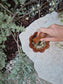 Petal + Pestle - Potion and Sensory play Tray
