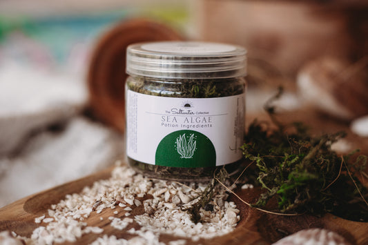 Sea Algae - Potion Ingredient for Potion Play and Sensory Trays SMALL