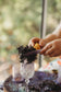 Sea Algae dried moss sensory play base for small world play, potions and mud kitchens