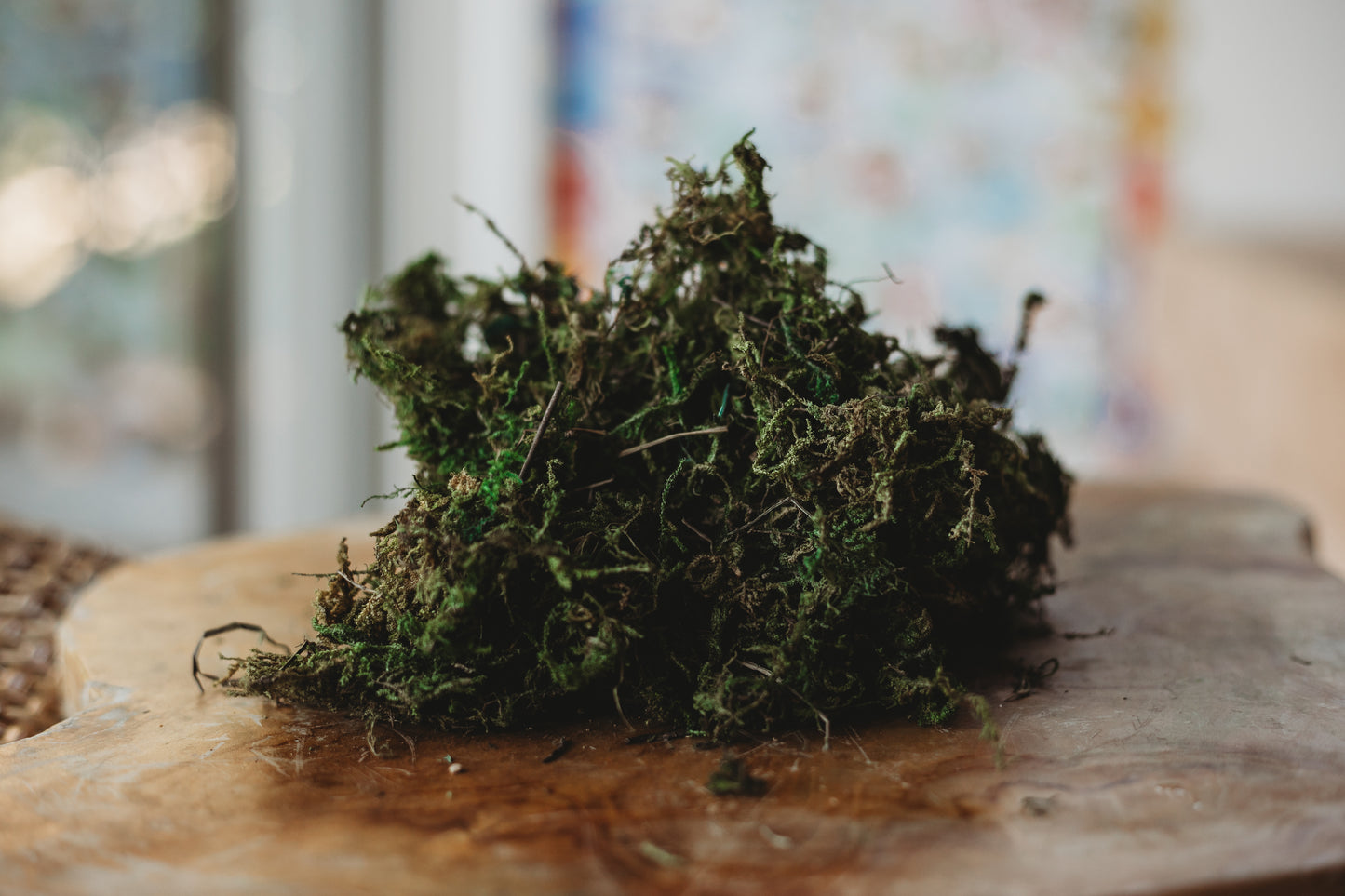 Sea Algae dried moss sensory play base for small world play, potions and mud kitchens
