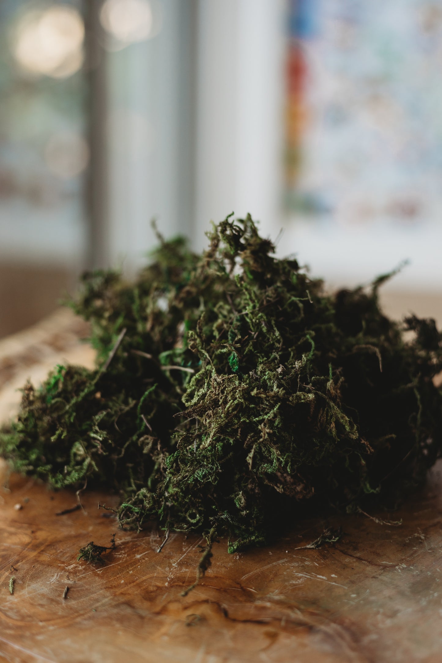 Sea Algae dried moss sensory play base for small world play, potions and mud kitchens