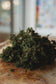 Sea Algae dried moss sensory play base for small world play, potions and mud kitchens