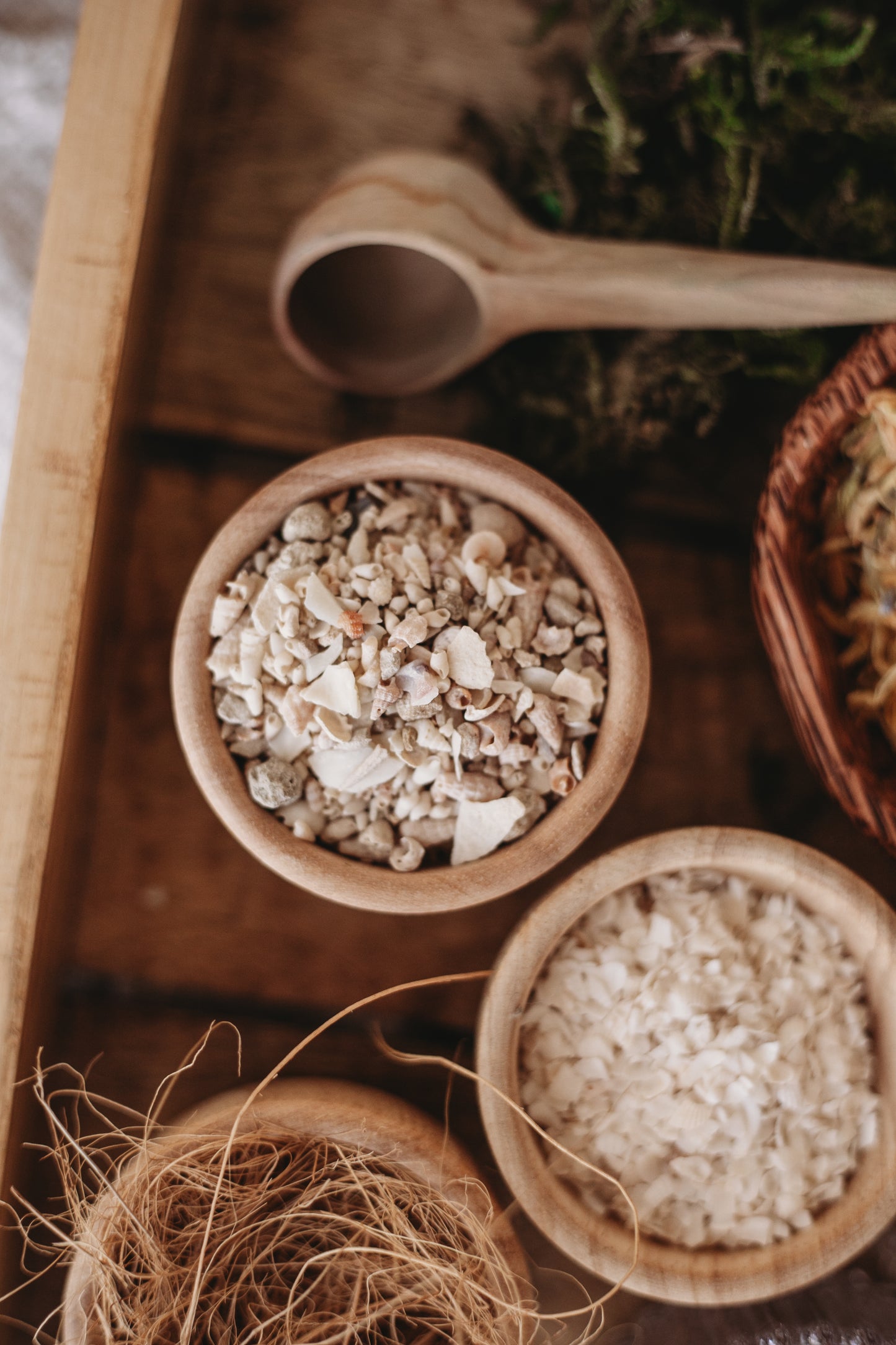 Shell Sand SMALL - Potion Ingredient