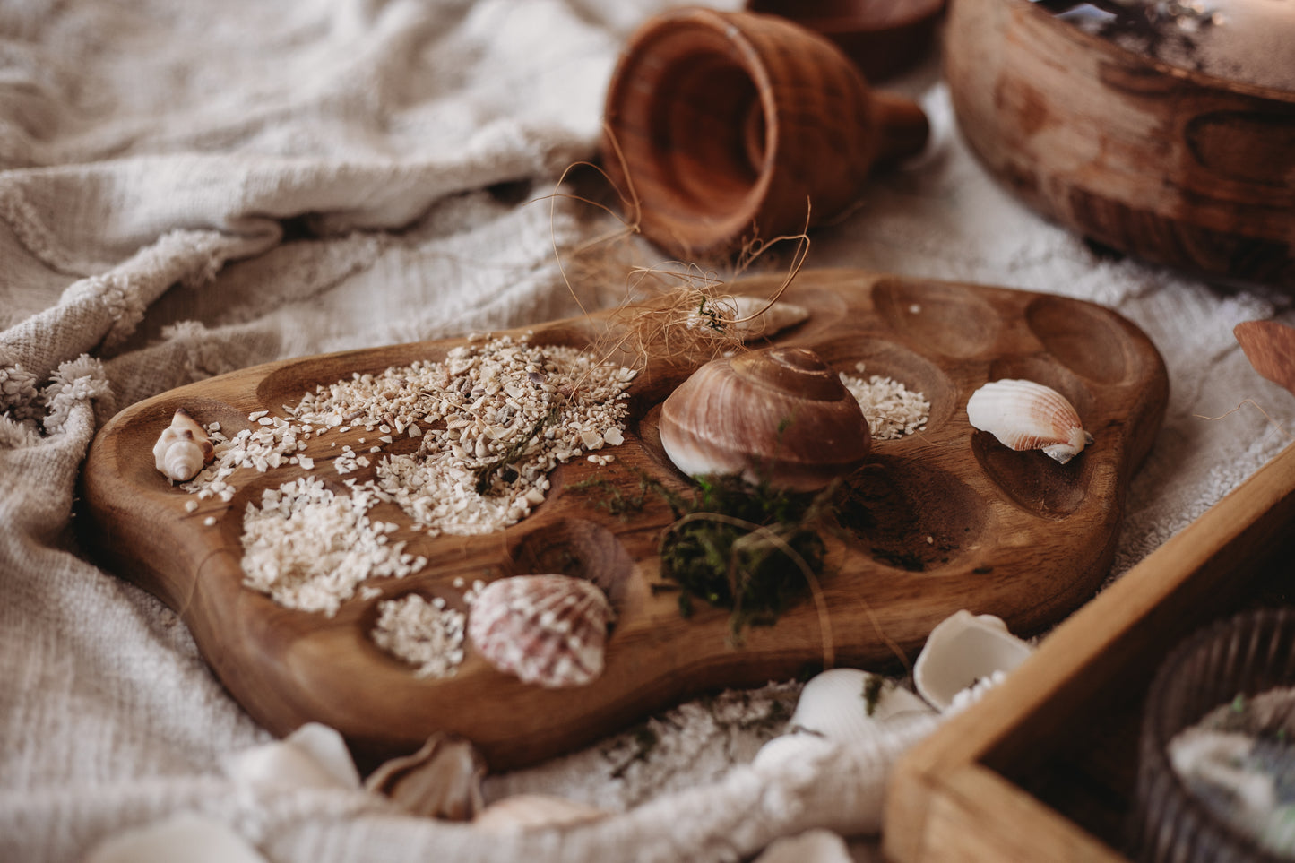 Shell Sand SMALL - Potion Ingredient