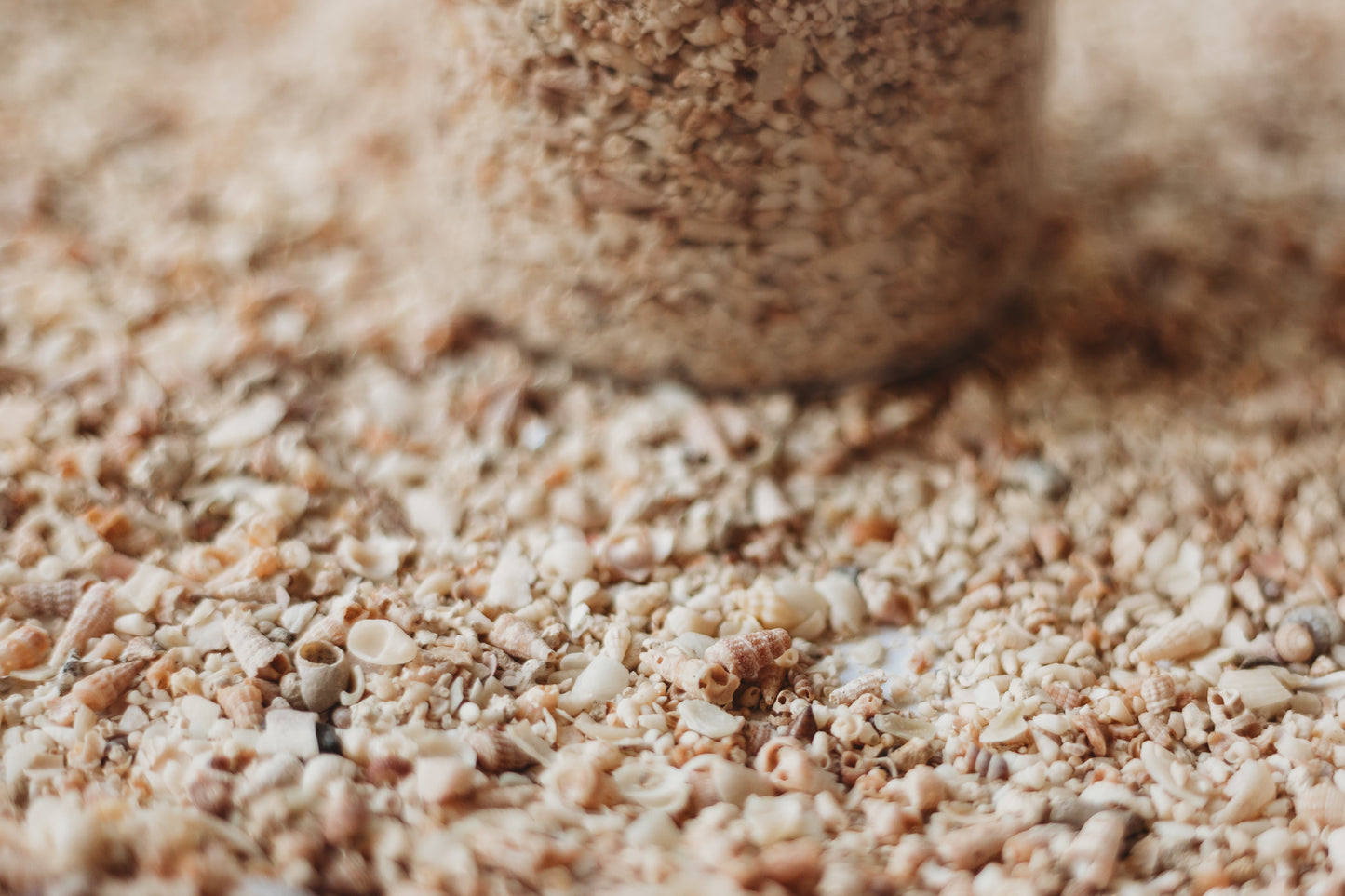 Shell Sand SMALL - Potion Ingredient