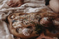 Rockpool Tray