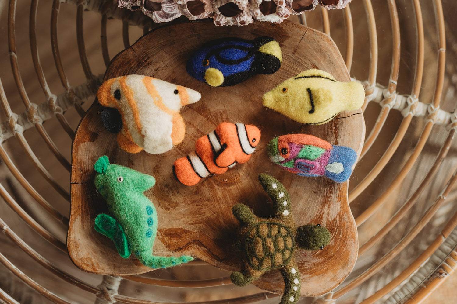 tara treasures felt tropical fish coral reef