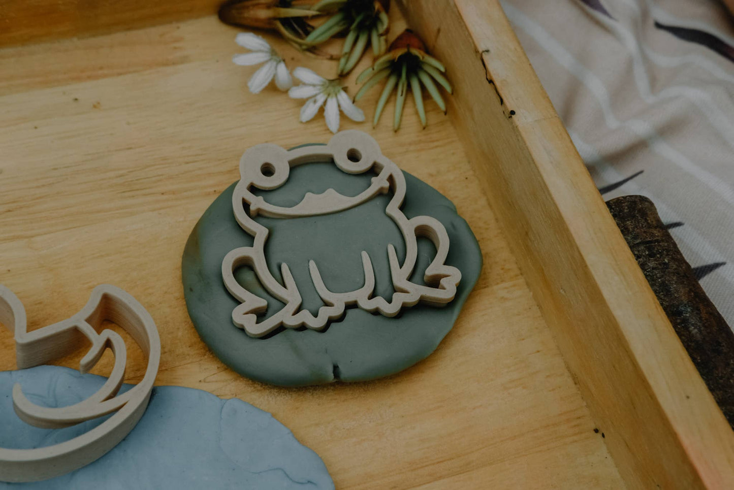 Pond life Cutter Set - Eco Playdough Tool