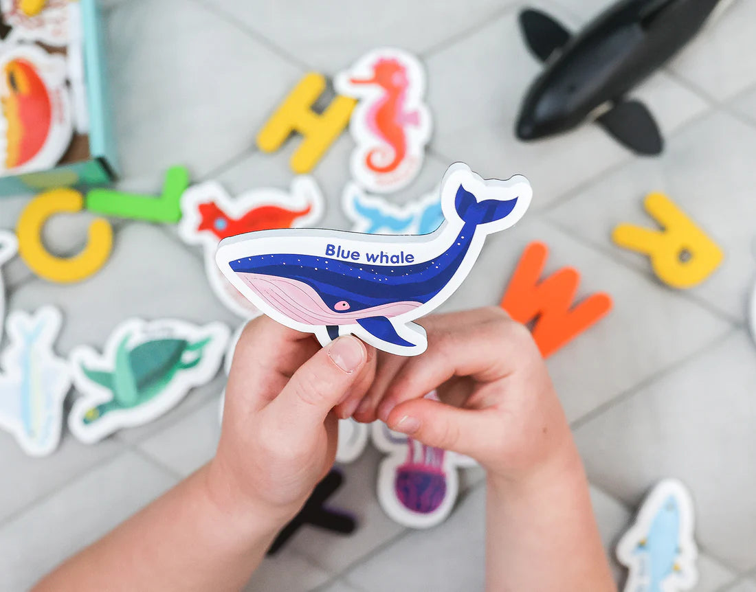 curious columbus Magnetic Sea Creatures & Letters