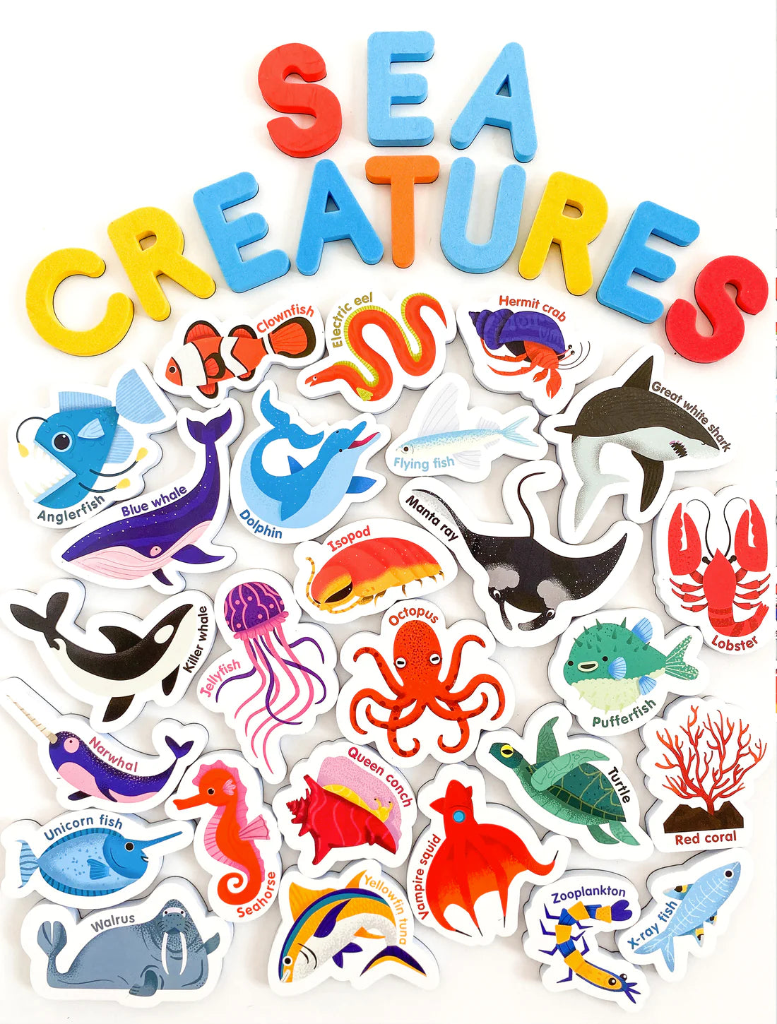 curious columbus Magnetic Sea Creatures & Letters