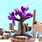 Felt Seasonal Tree - Spring
