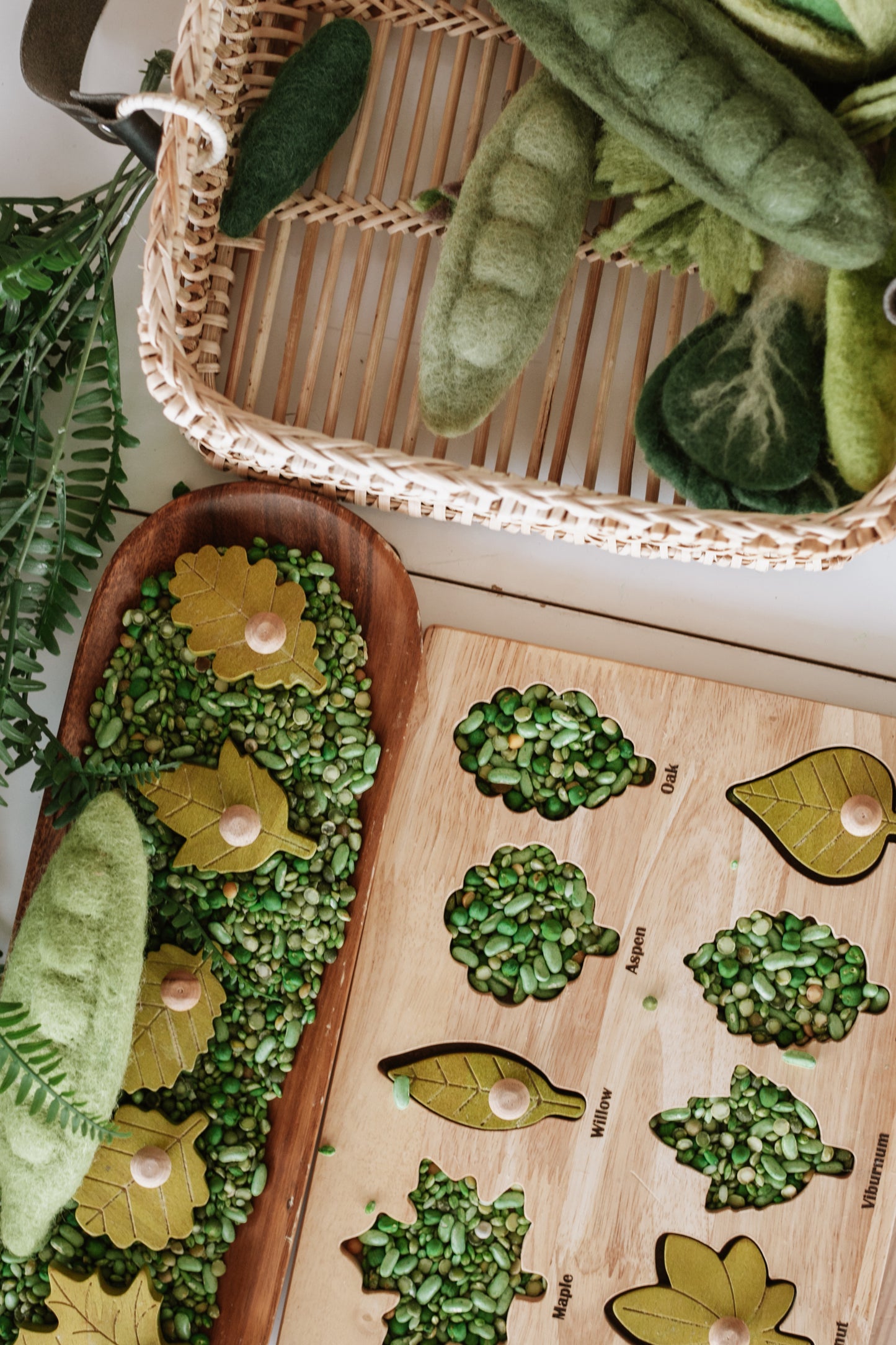 Montessori Leaf Puzzle