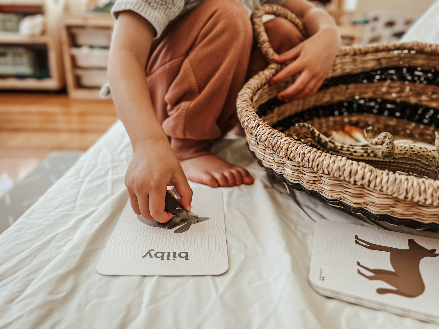 Aussie Animal Flash Cards