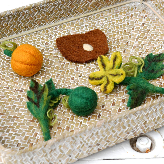 Felt Lifecycle of Pumpkin