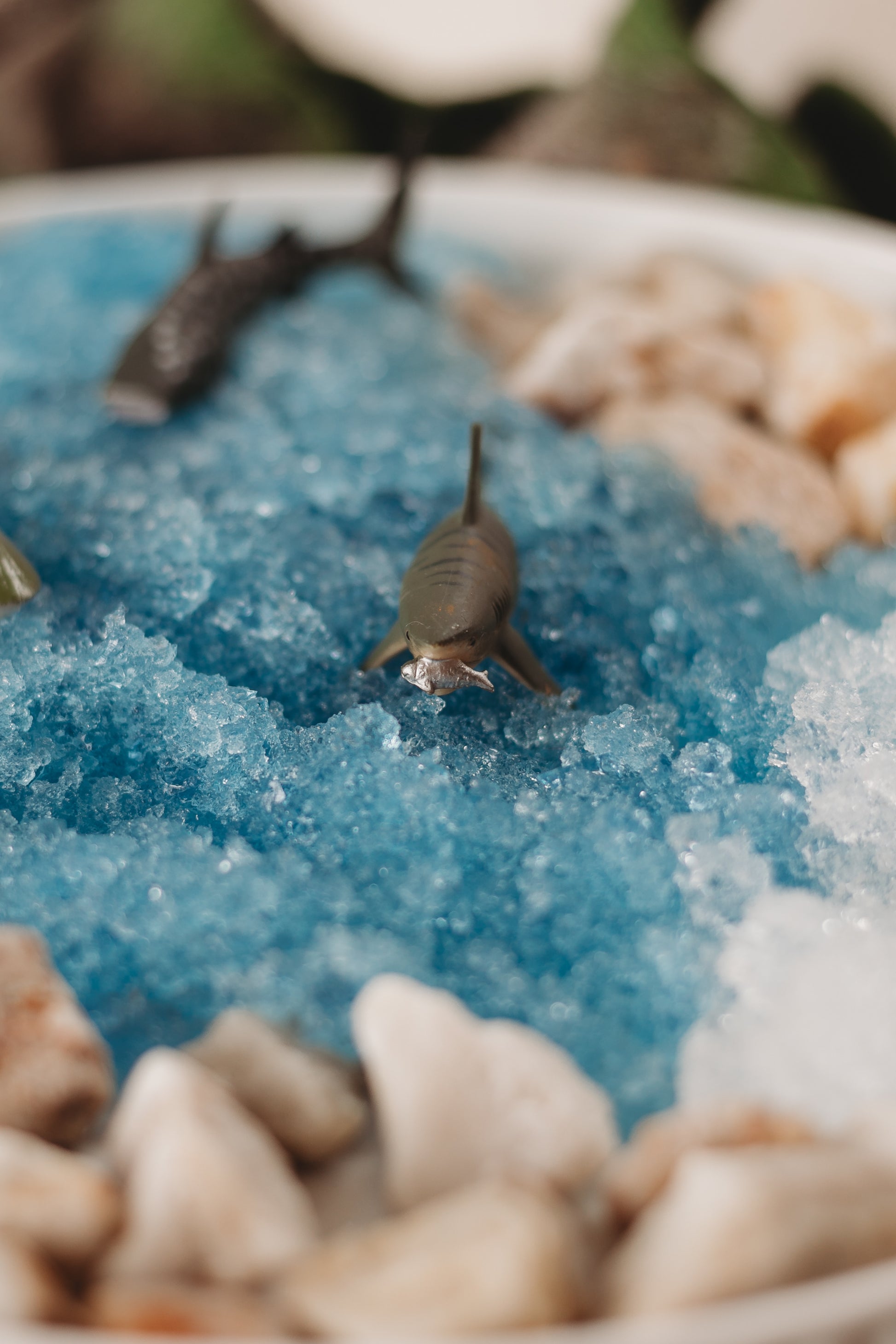 shark bay sensory tray instant snow water crystals wild republic shark tube sensory play tray