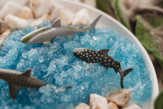 shark bay sensory play tray instant snow water crystals wild republic shark tube y5