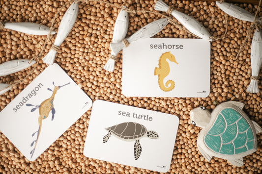 Sea Life Flash Cards Two Little Ducklings