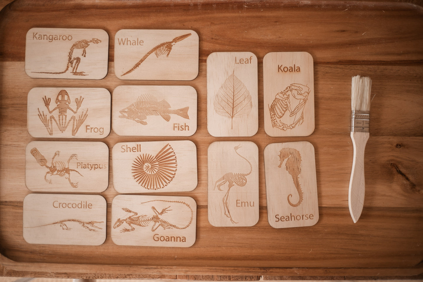 Fossil Cards