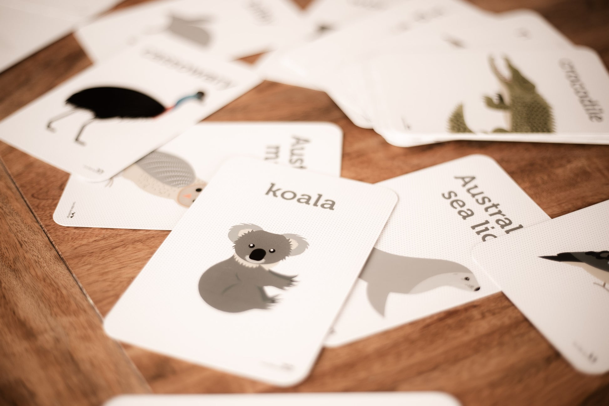 Aussie Animals Flash Cards Two Little Ducklings