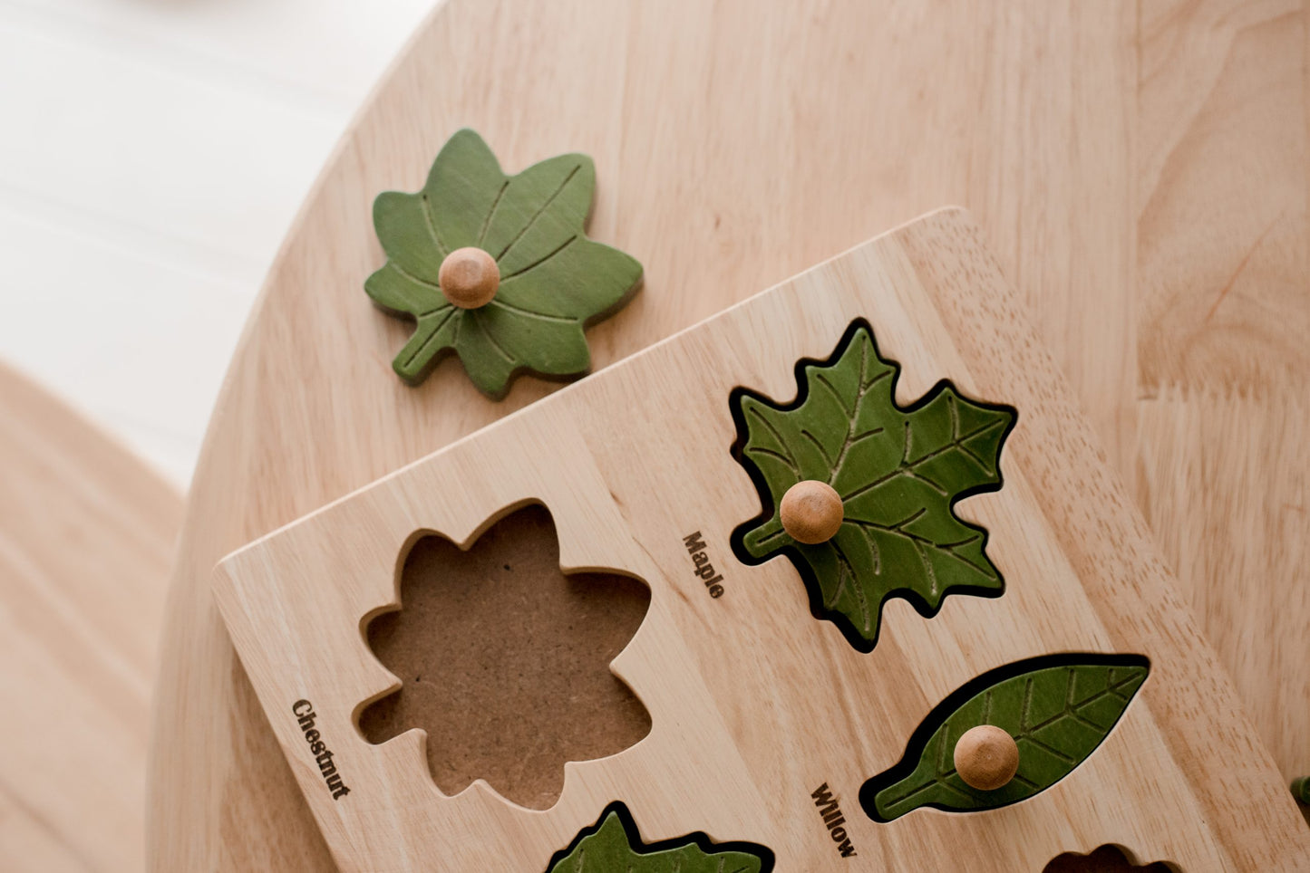 Montessori Leaf Puzzle