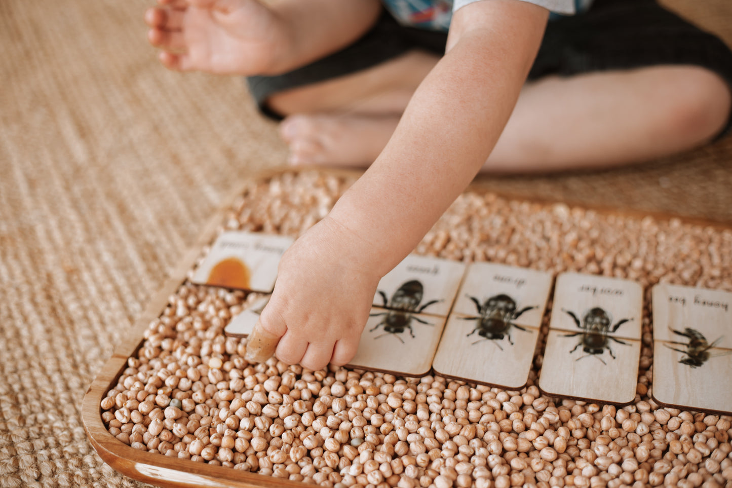 Honey Bee life Cycle Wooden Matching Puzzle