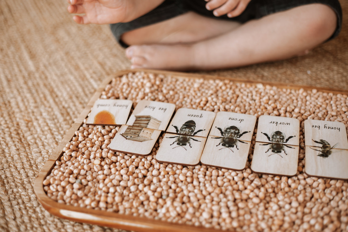 Honey Bee life Cycle Wooden Matching Puzzle