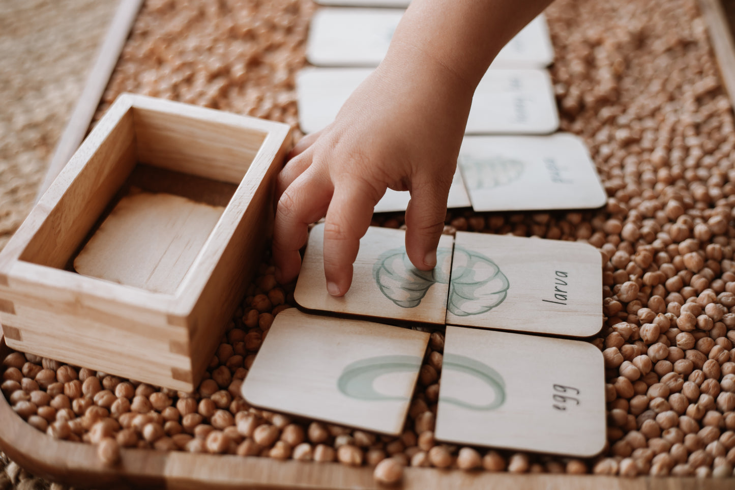 Honey Bee life Cycle Wooden Matching Puzzle