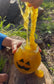 Pumpkin Slime Powder