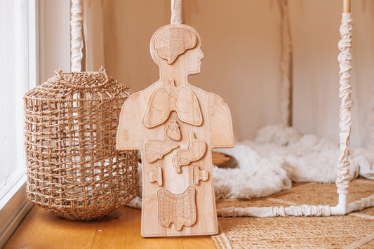 Wooden Anatomy Puzzle human body qtoys the saltwater collective