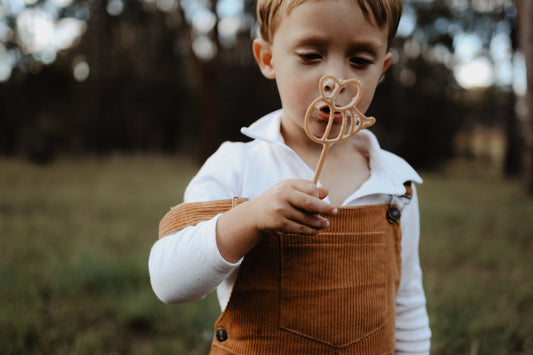 kinfolk pantry Bee Eco Bubble Wand the saltwater collective 