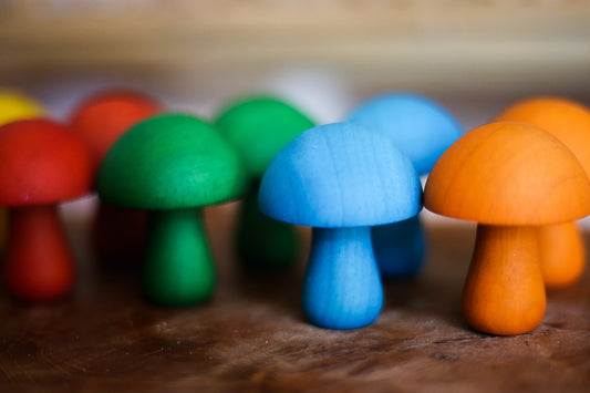 Coloured Mushrooms set of 10